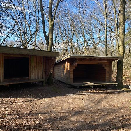 Krogager Primitiv Camping - Krogen Grindsted Exteriér fotografie